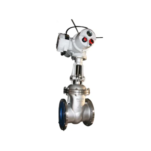 Gate Valve